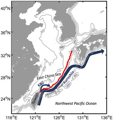 Influence of mesoscale eddies on the cross-shelf phosphate transport of the Kuroshio Current northeast of Taiwan: A modeling study